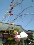 090324_104802.jpg