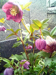 090324_142959.jpg