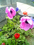090324_143158.jpg