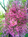 090324_143241.jpg