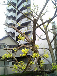 090324_143328.jpg