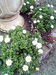 090324_143500.jpg