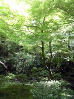 旧古河庭園