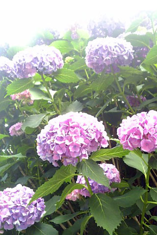 090617_150355.jpg